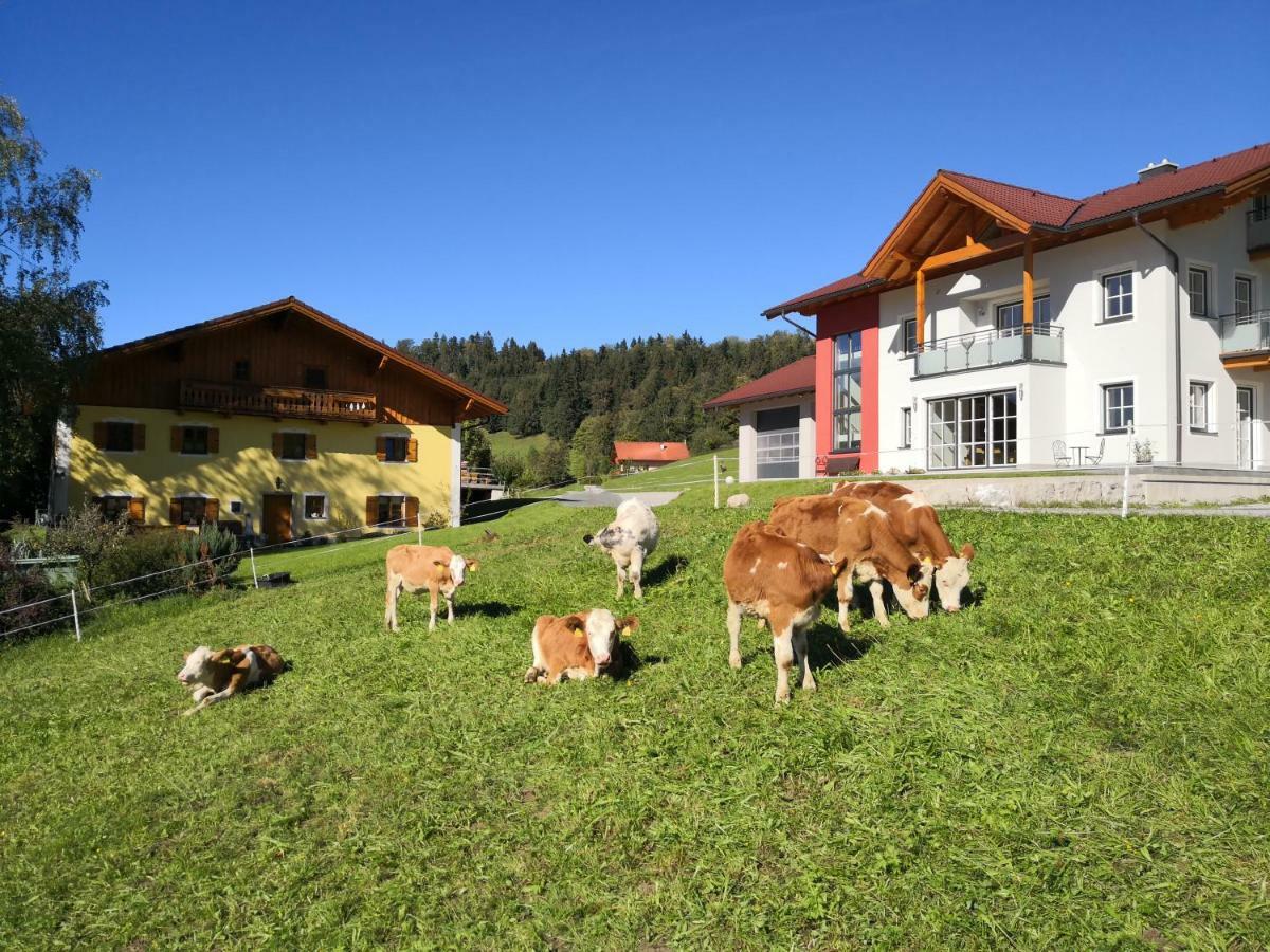 Fitzlhof Appartement *